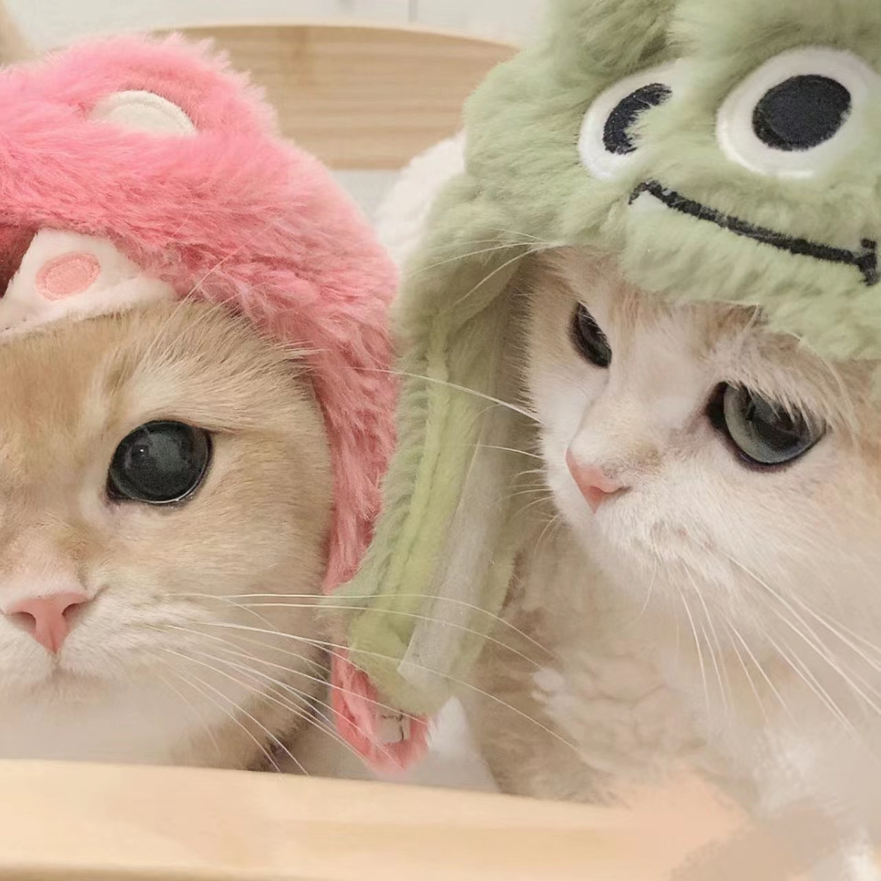 色色软件APP应用