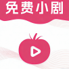 传递影视无限制vip版